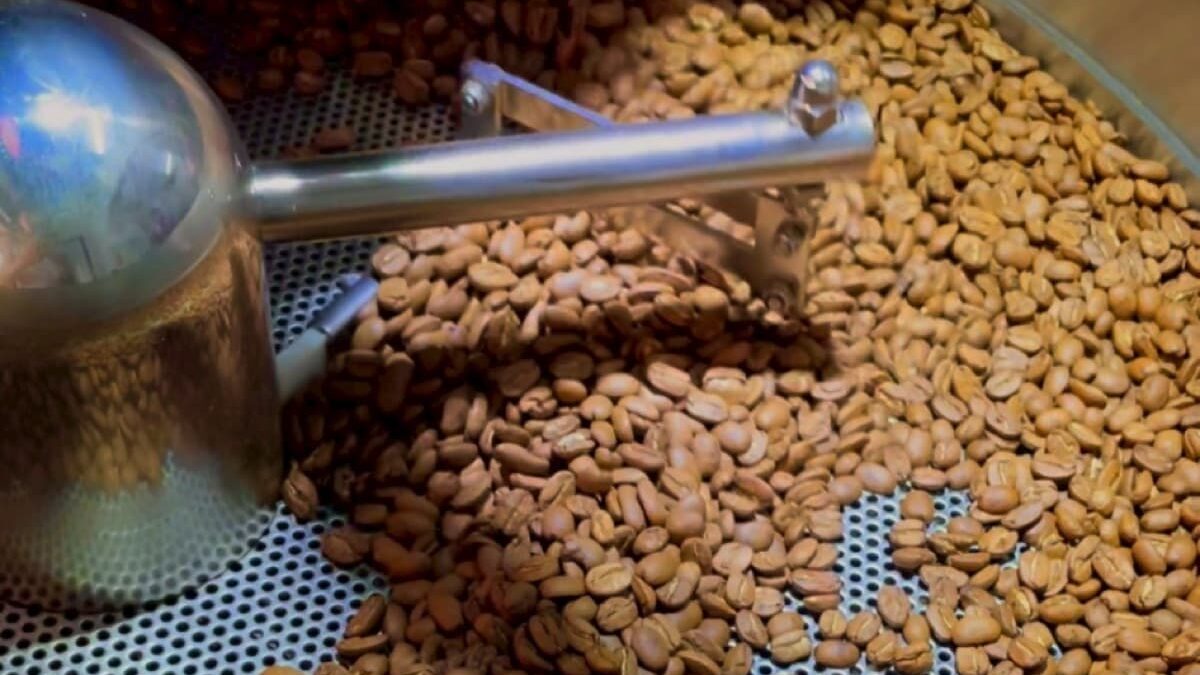 Coffee bean in roasting machine